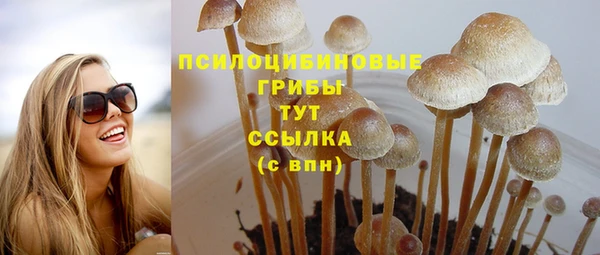 спиды Абаза
