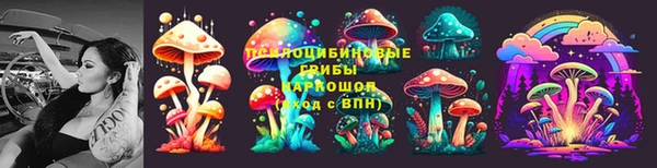 спиды Абаза