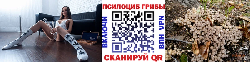 Галлюциногенные грибы ЛСД  Каменногорск 
